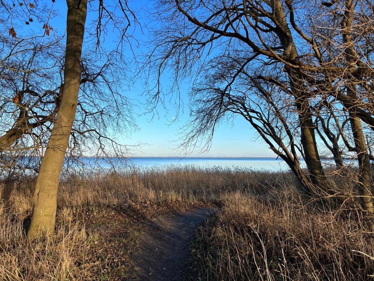 Reet Und Meer Beckerwitz Hohenkirchen  Kültér fotó