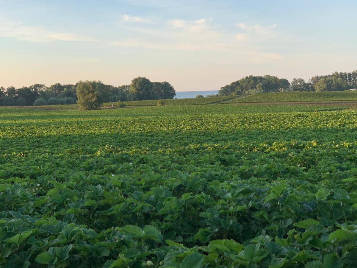 Reet Und Meer Beckerwitz Hohenkirchen  Kültér fotó