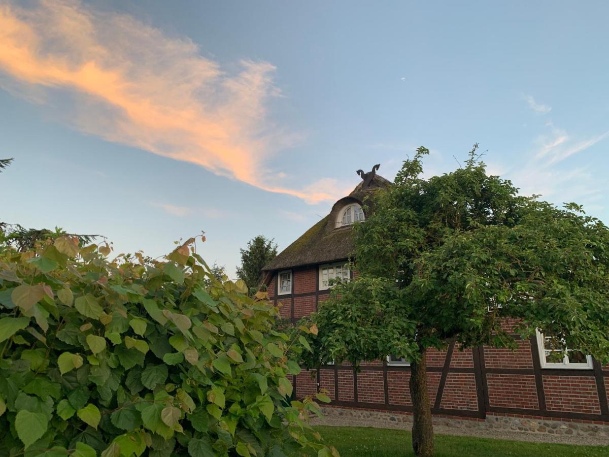 Reet Und Meer Beckerwitz Hohenkirchen  Kültér fotó