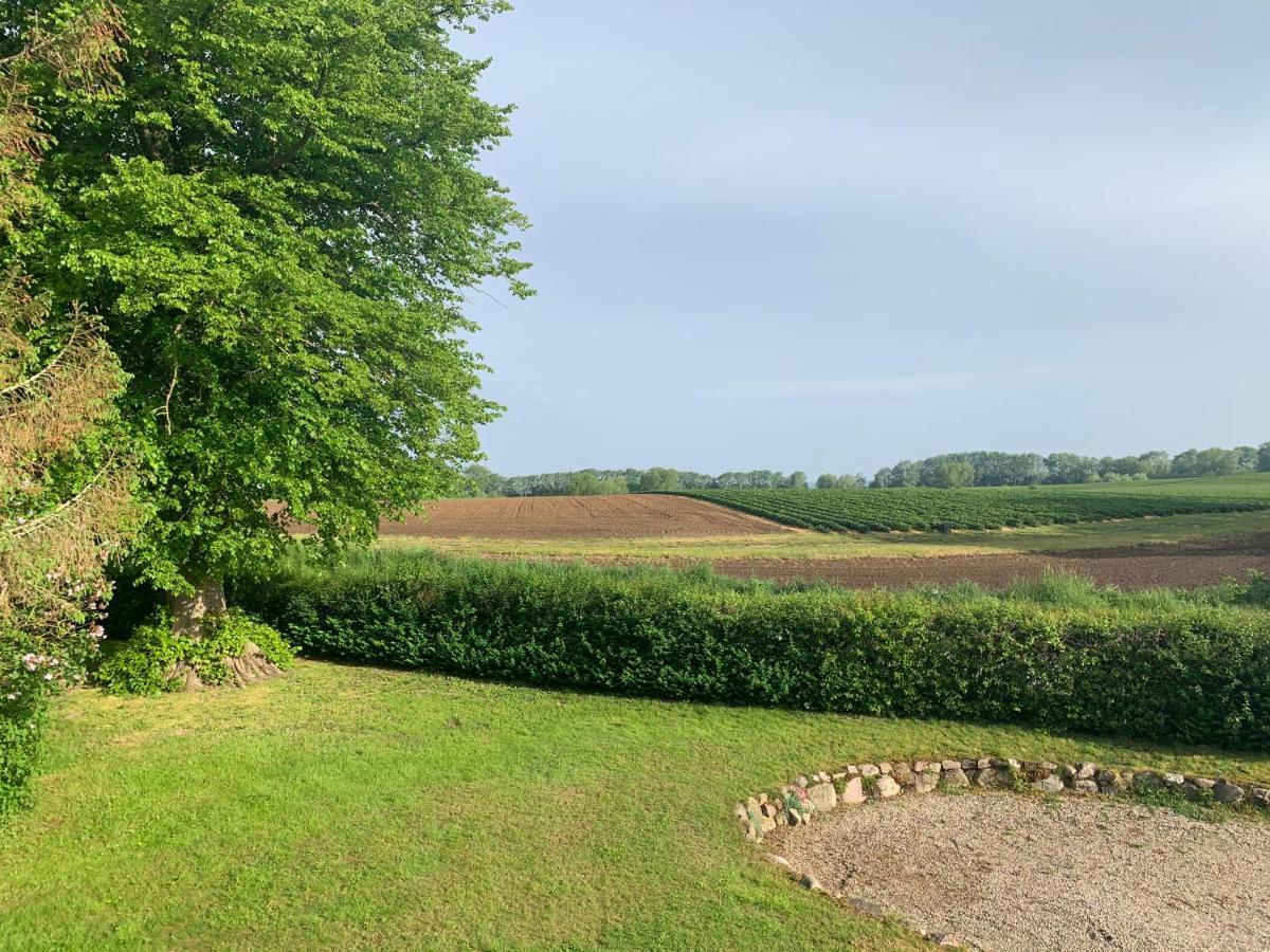 Reet Und Meer Beckerwitz Hohenkirchen  Kültér fotó